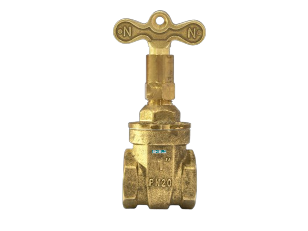 Lock Shield valve