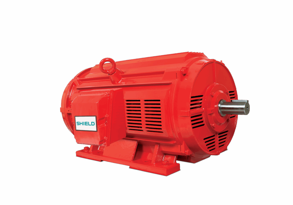 Open Drip Proof Motor