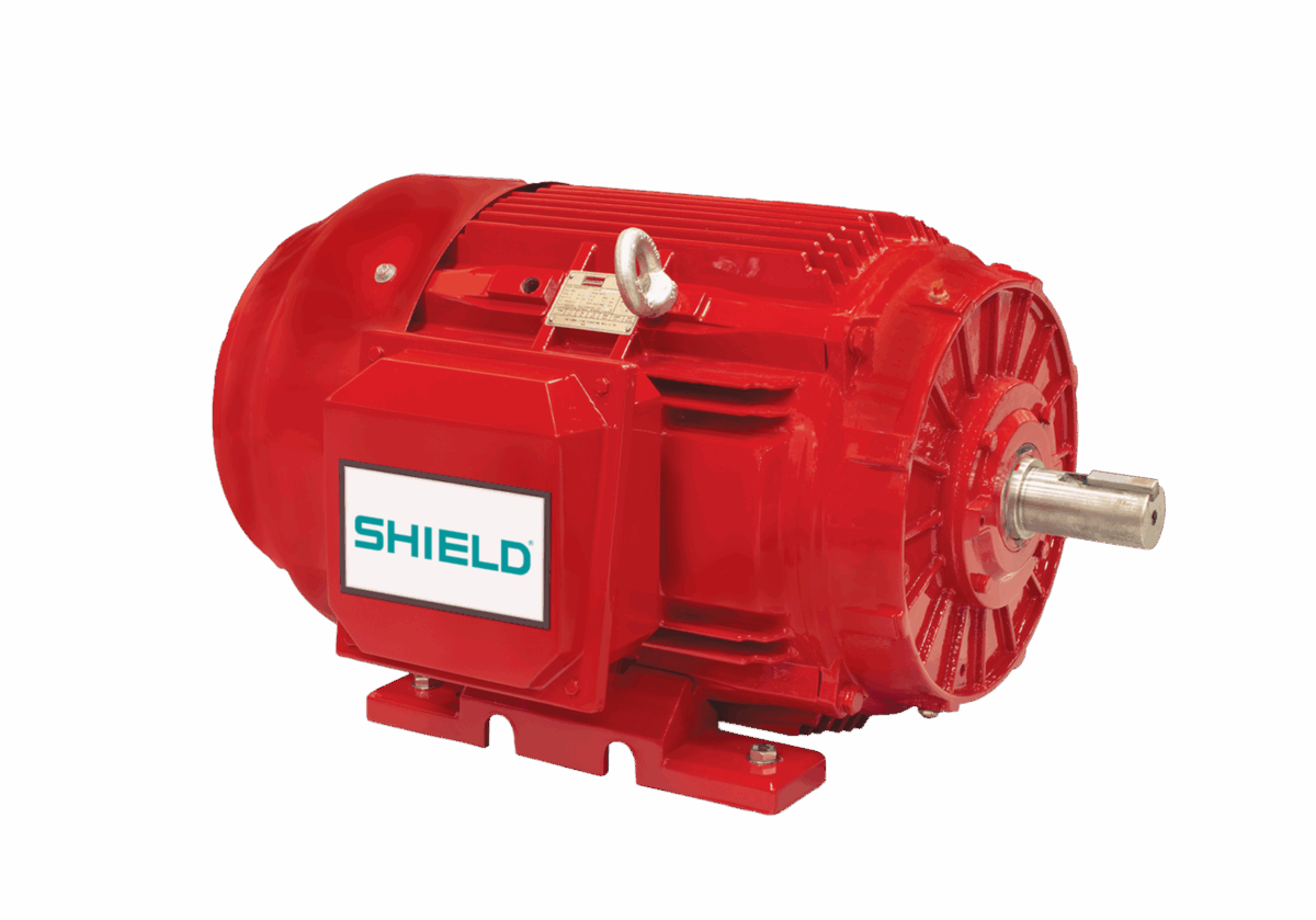 Totally Enclosed Fan Cooled Motor