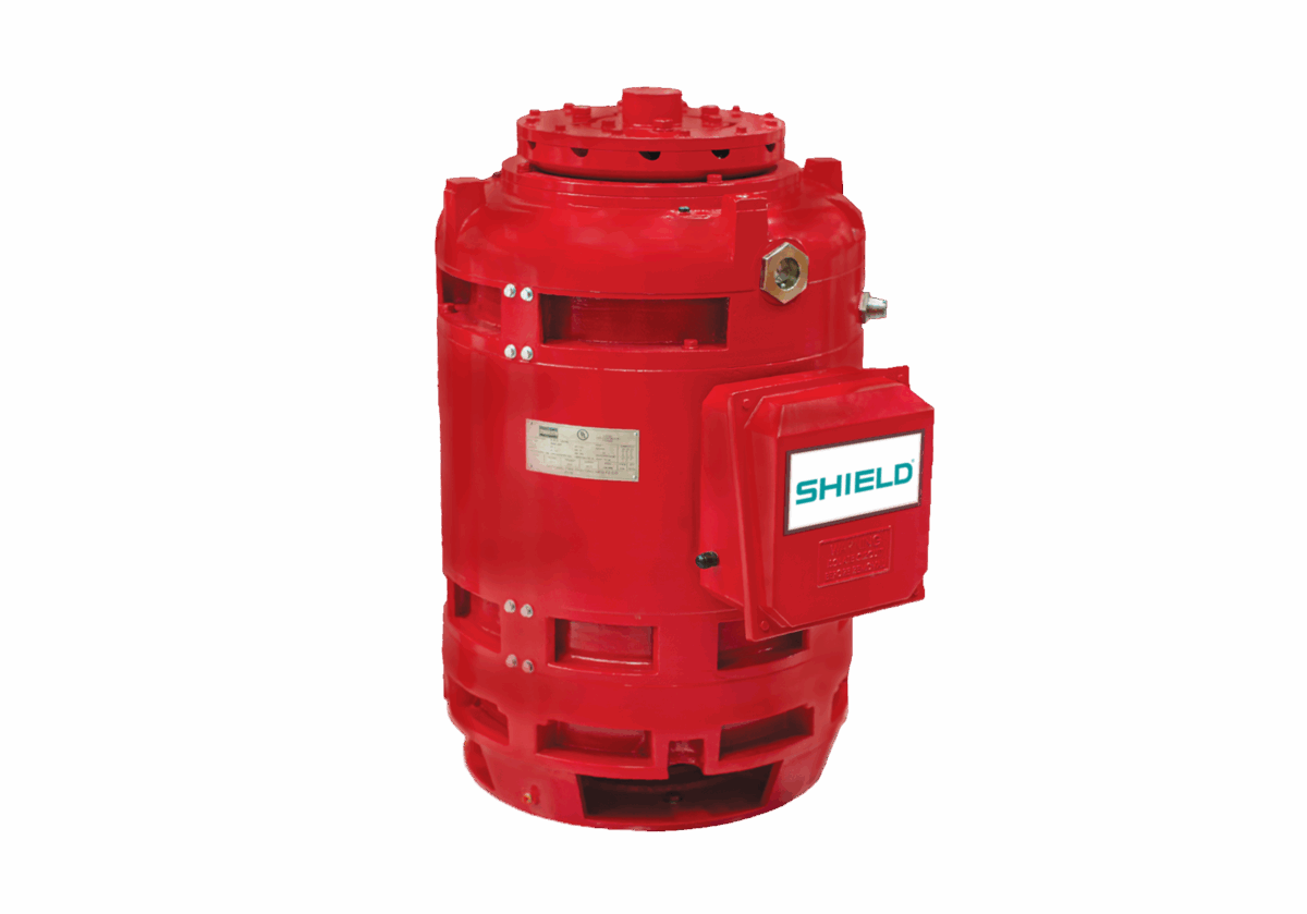 Vertical Hollow Shaft Motor