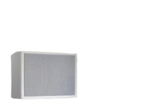 Voice Evacuation Systems