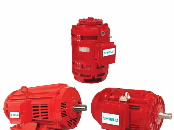 Electric Motor